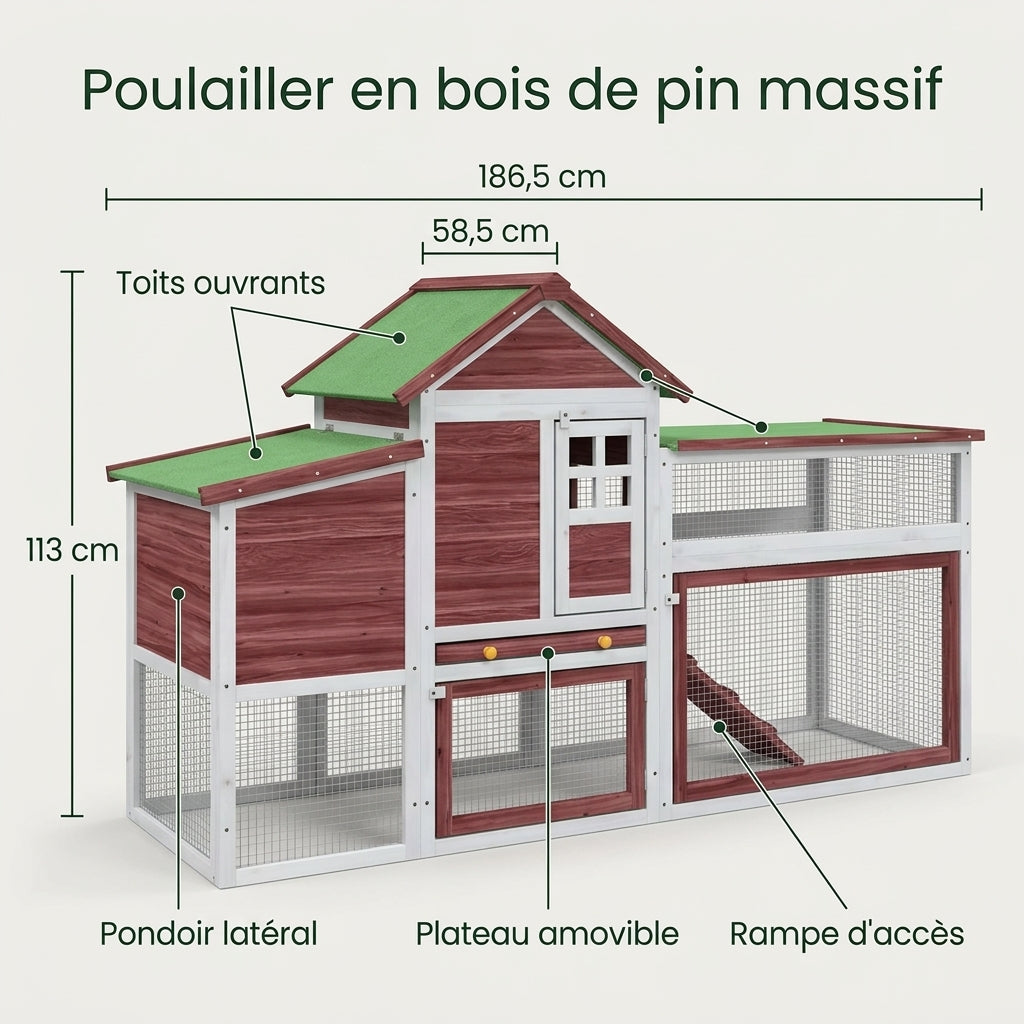 Poulailler en pin massif : dimensions et points forts
