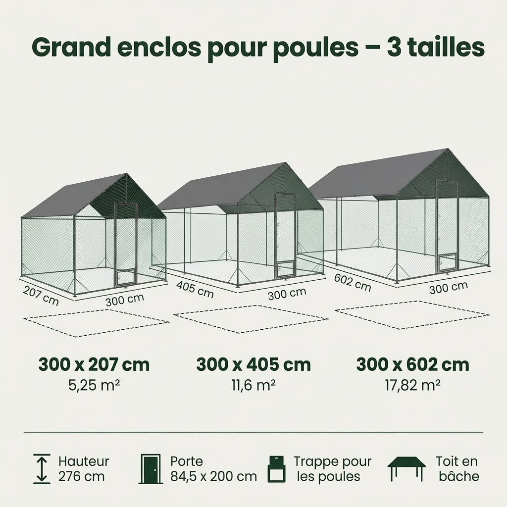 Grand enclos pour poules : les 3 tailles et leurs dimensions